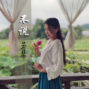 不说
