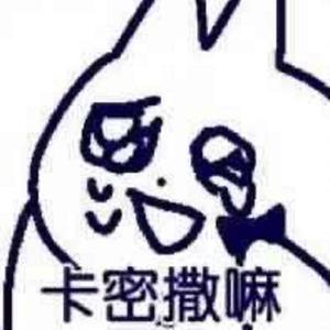 本姑娘