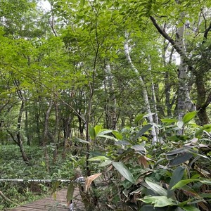 PJa6e-T24257-many-artists-01