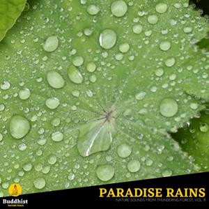 Paradise Rains - Nature Sounds from Thundering Forest, Vol. 8