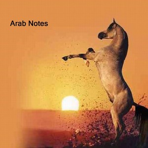 Arab Notes EP