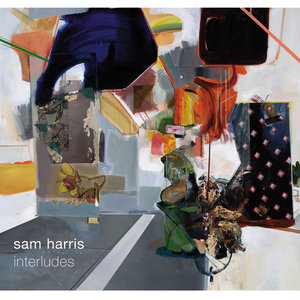 Sam Harris. Interludes
