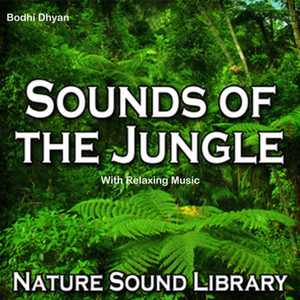 Sounds Of The Jungle With Relaxing Music
