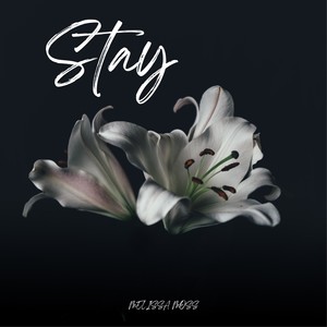 Stay