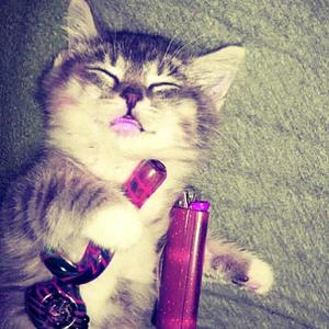 devine :0 (Explicit)