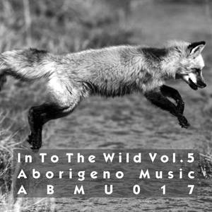 Wrong (Adriano Dodici Remix)