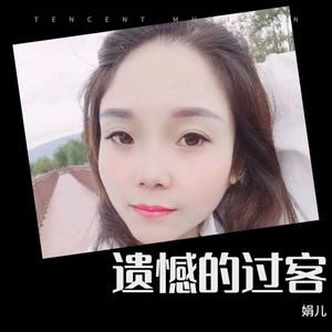 遗憾的过客封面