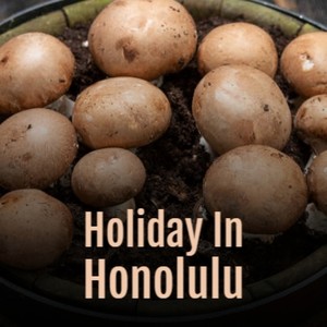 Holiday In Honolulu