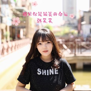 遇见你是最美的命运