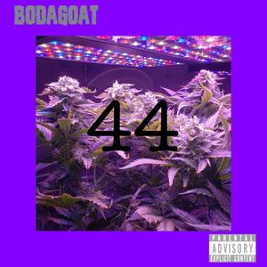 44 (Explicit)