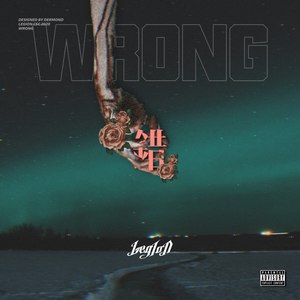 WRONG.错（Prod.By D.C.C)