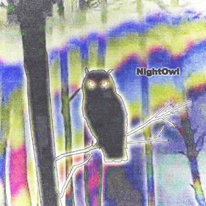 night owl. (Explicit)