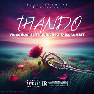 Thando (feat. Thabiso501 & BukuKMT)