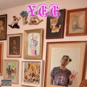 YEE (Explicit)