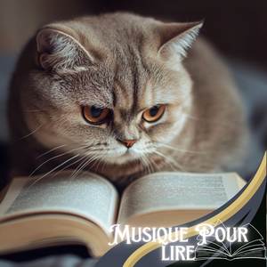 Musique Pour Lire Vol. 2