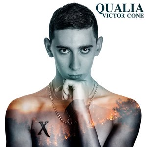 Qualia