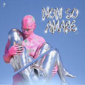 Non so amare (Explicit)