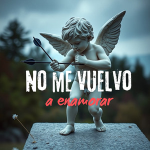 no me vuelvo a enamorar