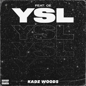 YSL(feat. CE) (Explicit)