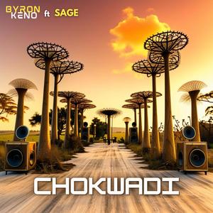 Chokwadi (feat. Sage) (Radio Edit)
