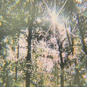 Womb Kiss (Demo)