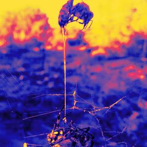 Patterns (Demo|Explicit)