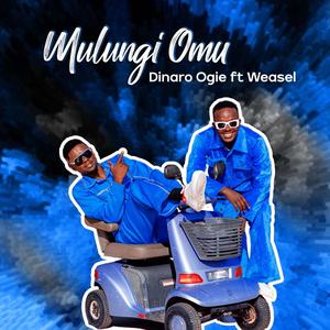 MULUNGI OMU (feat. Radio & Weasel)