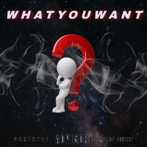 What you Want (feat. Jborchyy) [Explicit]