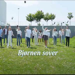 Bjørnen sover