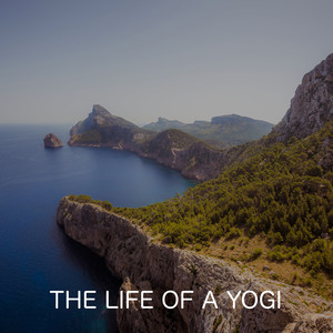 The Life Of A Yogi