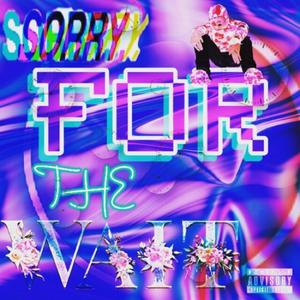 SORRY FOR THE WAIT (Explicit)