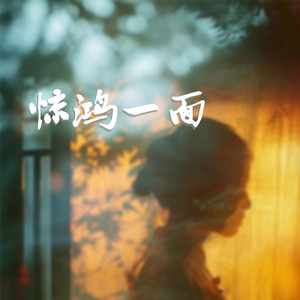 惊鸿一面（DJ原速1.0x）