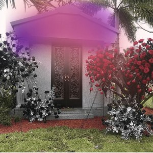 Young Mascka - 7 Palmos