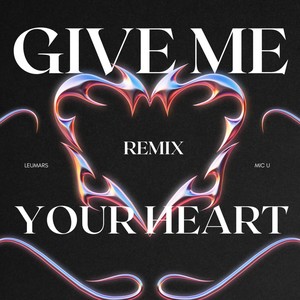 Give Me Your Heart (Remix)