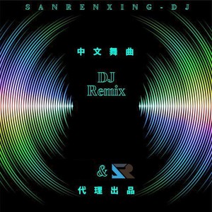 中文舞曲DJ-网易版权音乐Remix
