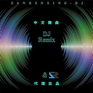 我曾用心爱着你 (DJ三人行影音工作室版)
