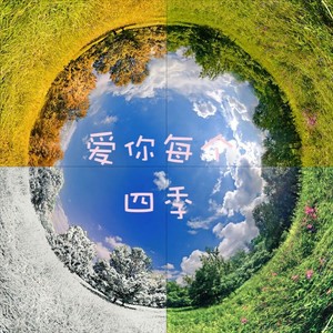 爱你每个四季