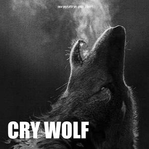 Cry Wolf (feat.  Qbaloch QB)