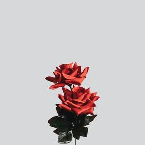 roses (Explicit)