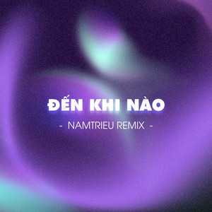 Đến Khi Nào (NamTrieu Remix)