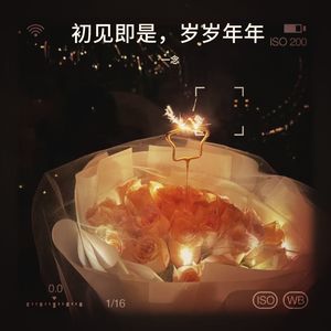 初见即是，岁岁年年