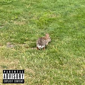 New Day (feat. Dechanet) (Explicit)