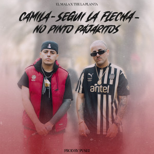 Camila / Seguí la flecha / No pinto pajaritos