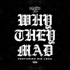 Why They Mad (feat. Big Loca) [Explicit]