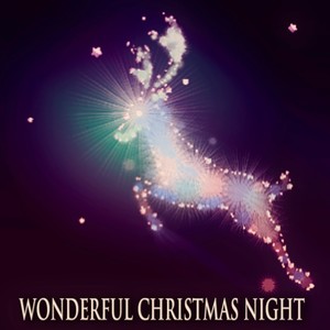 Wonderful Christmas Night