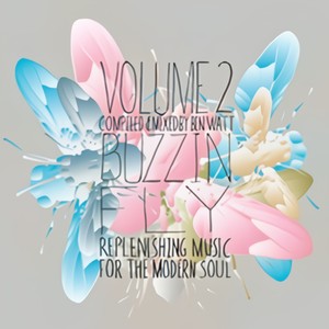 Buzzin Fly Volume 2