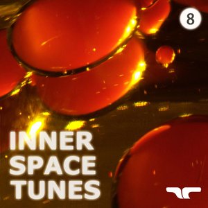 Inner Space Tunes, Vol. 8