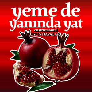 Yeme de Yanında Yat