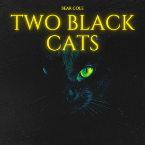 Two Black Cats