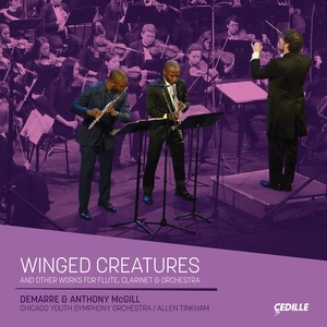 Sinfonia concertante in B-Flat Major, Op. 41, P. 226 - III. Polonaise - Allegretto